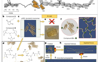 Nature Nanotechnology：下一代蛋白质基材料捕获并保护射弹免受超音速撞击
