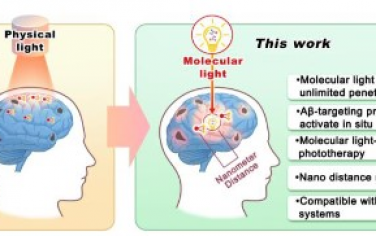 Angew：一种可光降解的姜黄素-二氮嘧啶类似物实现基于物理和分子的阿尔茨海默病光疗法