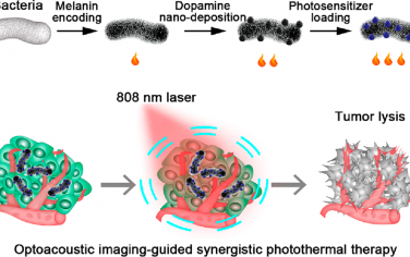 ACS Nano：将细菌与三元组合光敏剂相集成以用于单色照射介导、光声成像指导的协同光热治疗