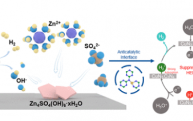 ACS Nano：通过抗催化界面抑制析氢实现高效水系锌离子电池