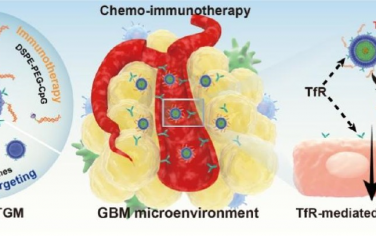 ACS Nano：负载纳米胶束的免疫外泌体可穿越BBB以用于胶质母细胞瘤的化学-免疫治疗