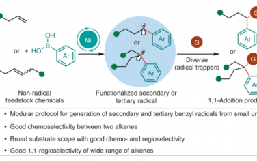 Nature Catalysis：通过有机金属自由基中继的烯烃1,1-二官能化