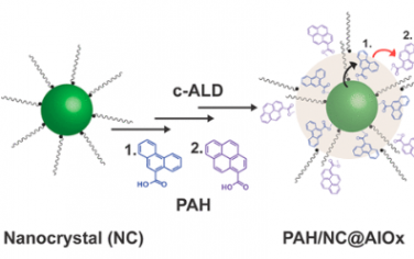 JACS：胶体 ALD 生长的金属氧化物壳使光活性配体/纳米晶体复合材料的合成成为可能