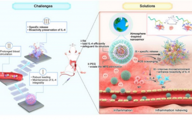 Biomaterials：受大气层启发的多层纳米盔甲可用于炎症微环境调控