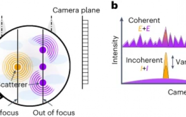 Nature Photonics：使用随机照明的宽场相干反斯托克斯拉曼散射显微镜
