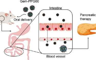 ACS Nano：口服负载吉西他滨、甘胆酸修饰的胶束以用于癌症治疗