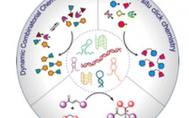 Chem. Soc. Rev.：核酸作为化学反应中的模板和催化剂