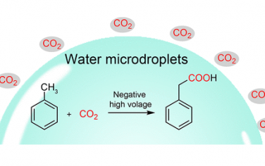JACS：带电水液滴催化芳基α-C-H键羧基化