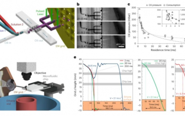 Nature Methods：液滴微流体与按需喷射相结合的时间分辨冷冻电镜