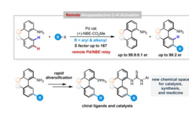 Chem: 选择性远程meta-C–H活化