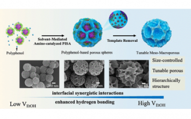 JACS：溶剂介导聚合诱导自组装可调分级结构介孔-大孔碳球
