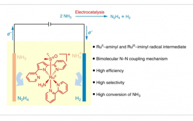 Nature Catalysis：高效电化学钌催化氨氧化直接合成肼