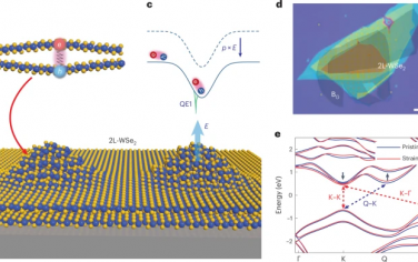 Nature Nanotechnology：激子量子发射体中的可调谐声子耦合