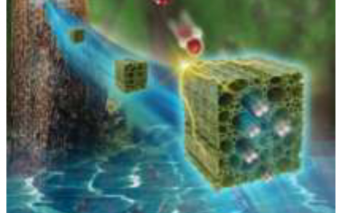 Adv. Mater.：具有多级结构的木材衍生的无支撑碳基电极用于工业级产氢