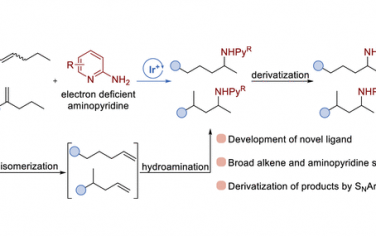 JACS：内烯烃远程氢氨基化