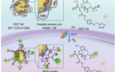 JACS：基于合成聚肽二级结构转变的类蛋白质纳米开关系统