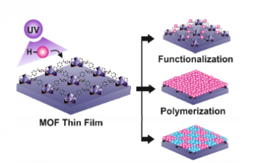 Angew：含有二苯甲酮连接分子的 Zr-MOF 薄膜的合成后光化学修饰和二维结构化