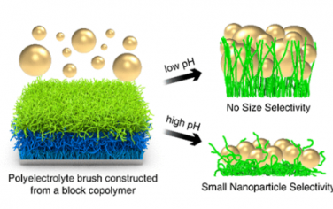ACS Nano：pH 介导的金纳米颗粒在二嵌段共聚物刷上的尺寸选择性吸附