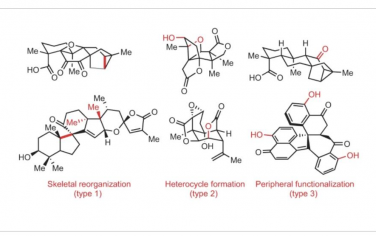 Nature Reviews Chemistry：C–H氧化在天然产物全合成中的战略应用
