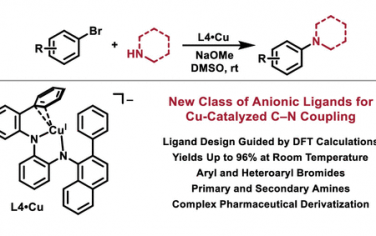 JACS：新型配体的室温Cu高效催化芳基溴氨基化