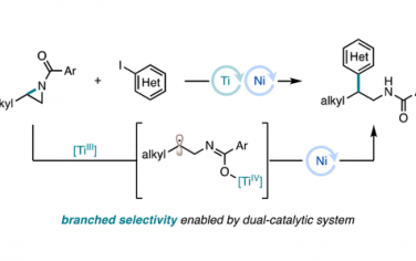 JACS：TiNi协同催化氮杂环丙烷枝状芳基化