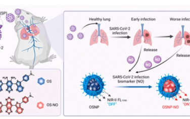 ACS Nano： 有机近红外荧光分子纳米探针原位无创观察SARS-CoV-2感染时一氧化氮波动