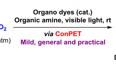 Angew：光催化CO2对环状胺C-N键羧酸化