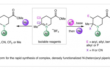 Nature Synthesis：可分离亚胺离子作为合成N-（杂）芳基哌啶的平台