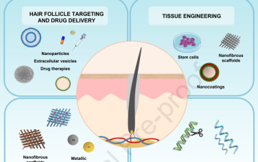 Biomaterials综述：基于纳米技术的毛囊再生技术
