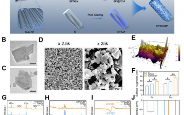 Biomaterials：使用2D黑磷纳米片涂层可实现光热-声动力疗法以抑制细菌和促进骨-植入物整合