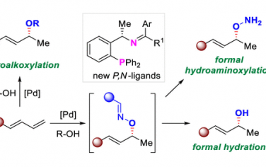 JACS：二烯烃不对称氢烷基化、氢氨基化