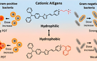 ACS Nano：结构疏水性对阳离子两亲性AIE光敏剂-细菌相互作用及其光动力效率的影响