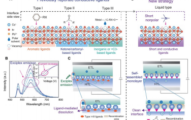 Science Advances：自组装单层蓝色钙钛矿LED