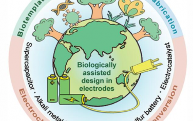 AEM: 用于电化学储能和转换的先进电极材料的生物辅助构建