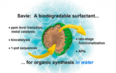 JACS：Savie:一种可生物降解的表面活性剂，能够在可回收水中进行化学和生物催化及相关反应