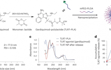 Nature Materials：TLR7纳米颗粒佐剂促进对流感和SARS-CoV-2异源毒株的广泛免疫应答