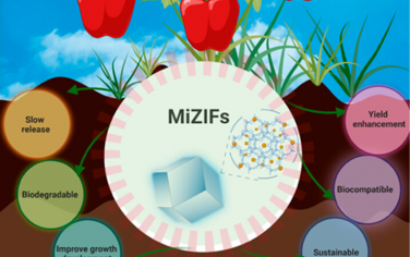 Nano Letters：用于智能生物刺激剂递送和作物微量营养素强化的仿生矿化