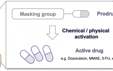 Chem. Soc. Rev：用于体内前药活化的生物正交化学