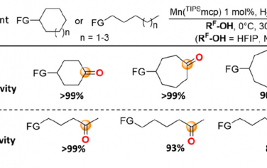 JACS：极性增强效应产生远程C(sp3)-H氧化选择性