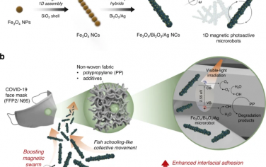 Nature Communications：用于新冠肺炎口罩破裂的磁增强1D光敏微型机器人