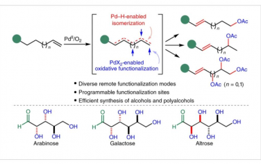 Nature Chemistry：通过可控烯烃异构化实现烯烃的多位点可编程功能化