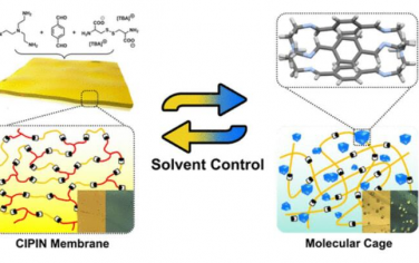 JACS: 聚亚胺膜与有机分子笼之间的溶剂响应可逆可控转化