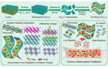 ACS Nano： 界面/缺陷极化强化微波非侵入疗法对抗细菌感染慢性骨髓炎