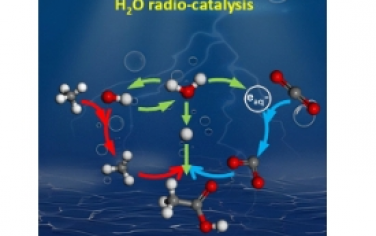 JACS：水辐射催化甲烷与二氧化碳在室温下选择性水相羧化合成醋酸