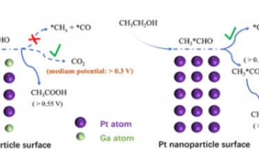 JACS：Pt−Ga/C 催化剂的 Ga 改性近表面成分促进通过 C2 中间体进行高效电化学乙醇氧化