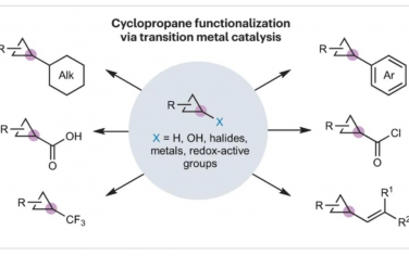 Nature Reviews Chemistry：金属催化在环丙烷上形成C–C键
