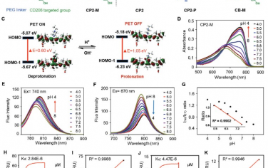 Advanced Science：通过免疫抑制肿瘤相关巨噬细胞可视化在术中辨识胶质瘤浸润边缘