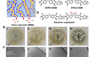 Science Advances：在MOF基混合基质膜中建立气体传输通道