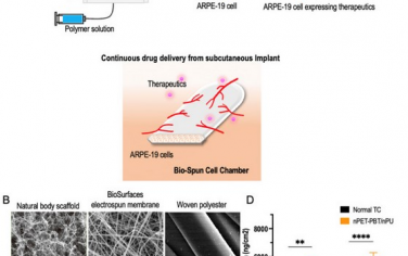 Biomaterials：新型静电纺丝微器件可持久包载人源细胞并保证其分泌治疗性抗体