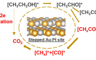JACS：Au/Pt纳米线的Pt台阶位点电化学醇氧化